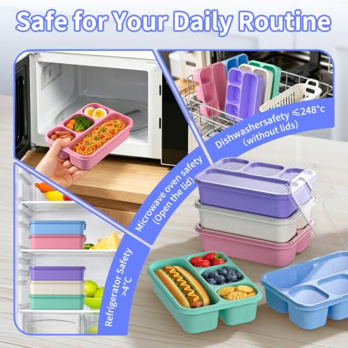 Bento Box 5 Pack (5 Colors)