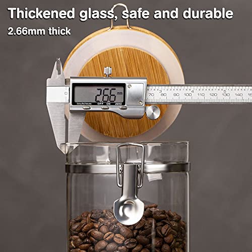 Coffee Container with Shelf