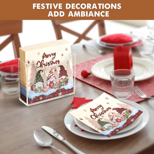 Acrylic Vertical Napkin Holder for Kitchen Table (Clear Luncheon Napkin Holder)