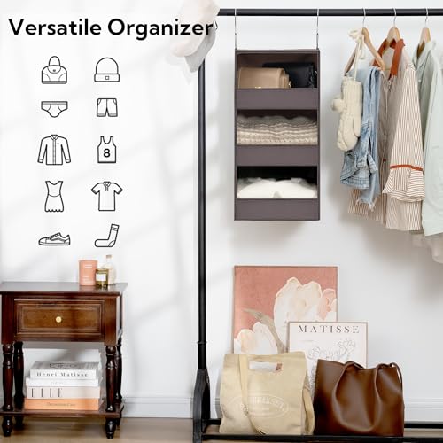 3 Shelf Hanging Closet Organizer (3-shelf Dark Brown / 2-Pack)