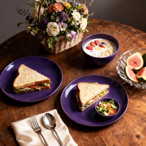 HomeVSS 20 Piece Dinnerware Set (Service for 4 - 20pc Set / Purple)