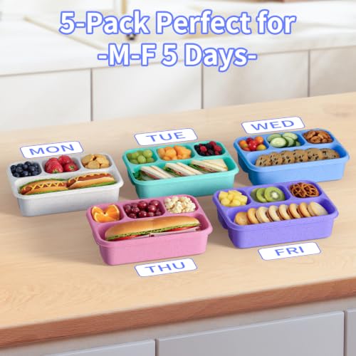 Bento Box 5 Pack (Pink)