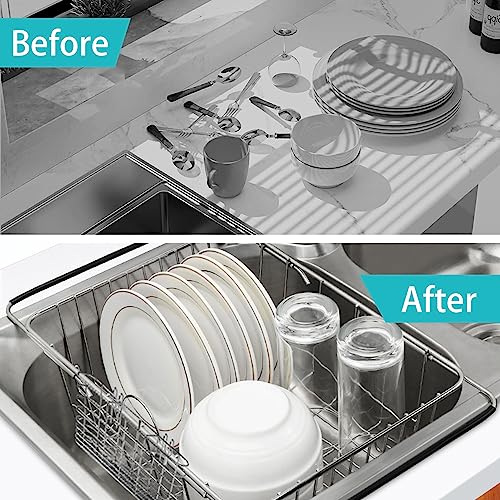 Sink Dish Drainer Rack (Small Dish Drying Rack)