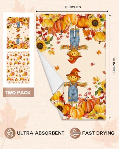 Fall Microfiber Kitchen Towels Set of 2 (Off-white Straw Pumpkin)
