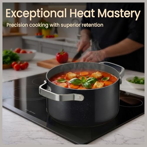 Bakken 8.5 Quart Ceramic Coated Stock Pot with Lid (Black / 8.5 Quarts)