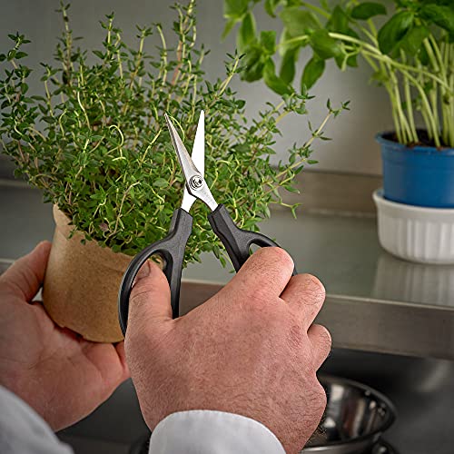 Herb Snips 6 1 (Herb Snips 6.5 Inch)