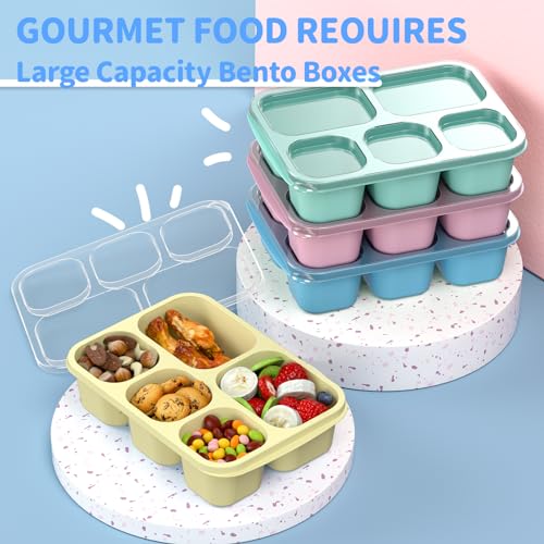 Bento Box Adult Lunch Box (PP(Blue/Pink/Green/Yellow))