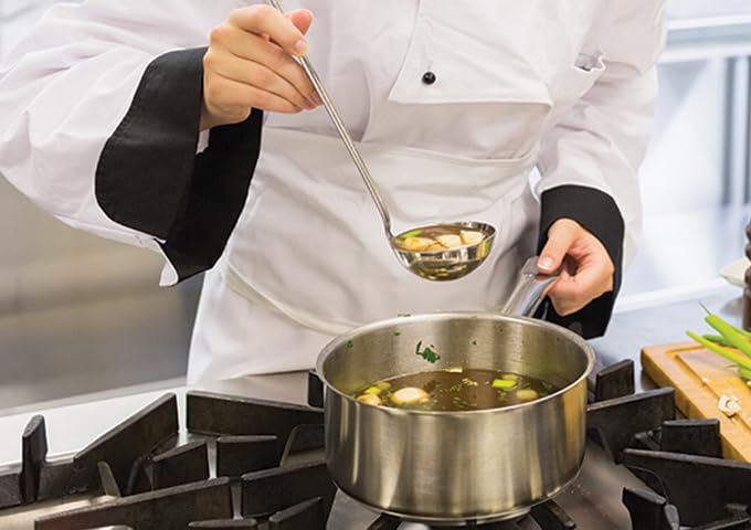 6 qt Stainless Steel Sauce pan with Cover (6 Quarts)