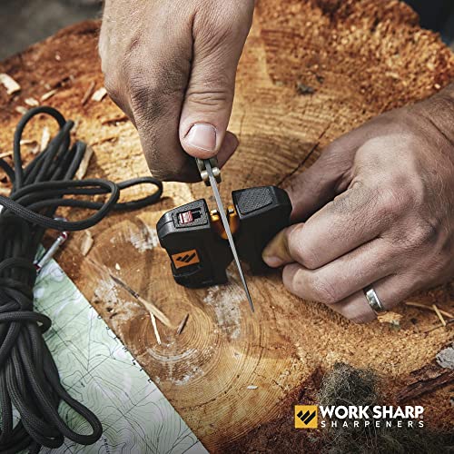 Portable Pivot Knife Sharpener (Pro)