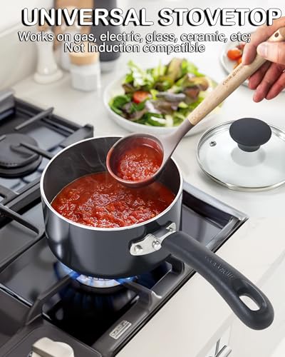 Basic 2 Quart Nonstick Saucepan with Glass Lid (2 Quarts / Black)