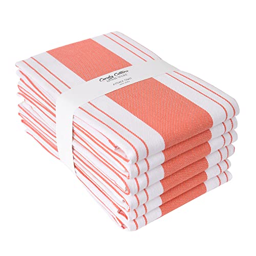 Stripe Kitchen Towels Decor Mordern Design Centreband Tea Dish Towels Boho Stripe Absorbent Festive Gift Set of 6 Pantry Reusable Kitchen Dish Towel (Coral (Modern))