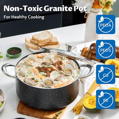 12 Quart Nonstick Stock Pot with Lid (12 Quarts)