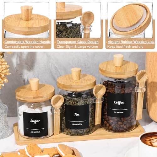 3 Pcs Glass Coffee Container Set (13.5,20,25 oz)