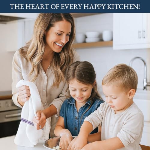 Dish Towels 100% Cotton Absorbent Lint (06 Pack / 02: Blue Stripe)