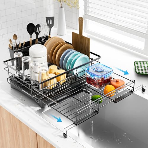 Dish Drying Rack (Black)