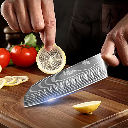 7 Piece Kitchen Knife Set with Magnetic Block (01)