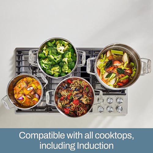 Simply Strain 12 Qt. Multipot with Strainer Insert & Lid (12-quart (Induction))
