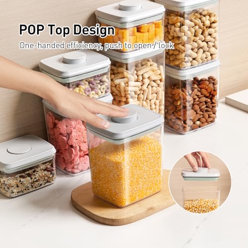 Food Storage Containers with Lids (2.9qt * 2 Pcs)