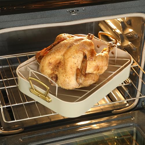 Broxton 2 Piece Nonstick Roaster Pan with Rack (Mint Green / 16" x 12" Roaster w/ Rack)