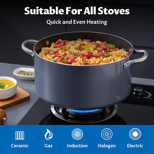 10 Quart Nonstick Stock Pot with Lid (10 Quarts)