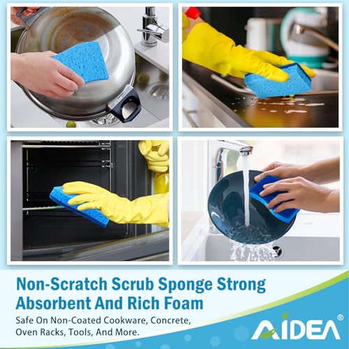 Sponges Kitchen (Blue)