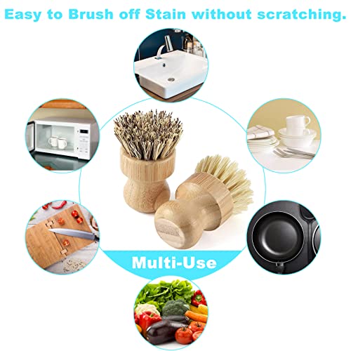 Bamboo Dish Brush Set (2p Palm+2p Sisal)