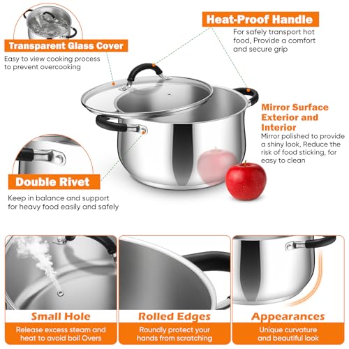 6 Quart Stainless Steel Stock Pot (6 Quarts)
