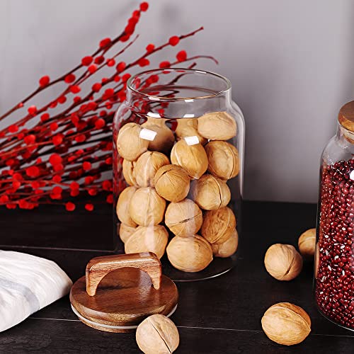 Canister Set of 2 (2 set)