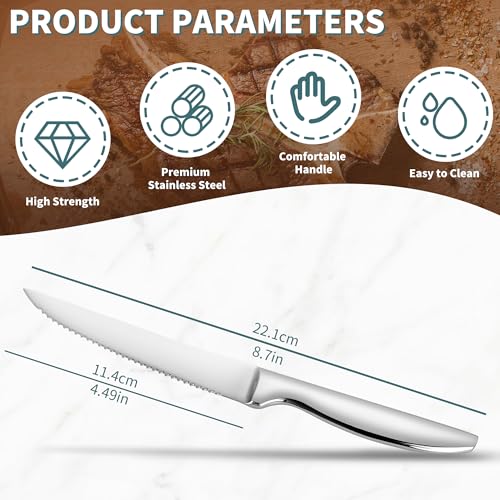 Serrated Steak Knives Set of 8 (Only Knives / Silver for 8)