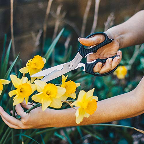 Taskmaster Shears