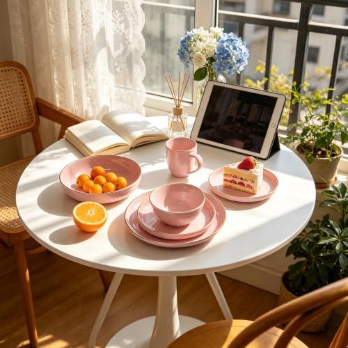 HomeVss 20 Piece Dinnerware Set (Service for 4 - 20pc Set / Pink)