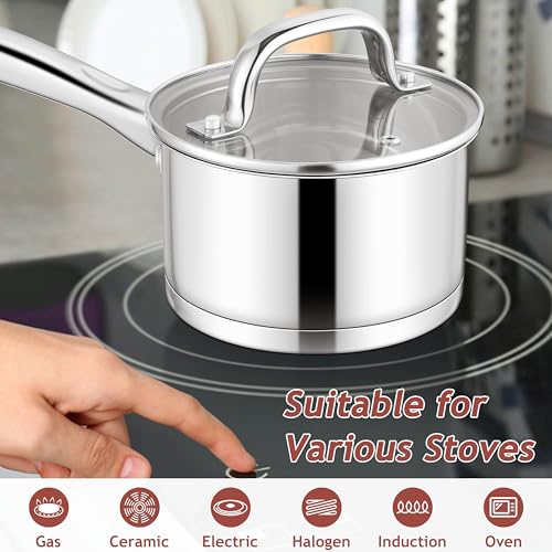 1 QT Small Saucepan with Lid (1 Quarts)