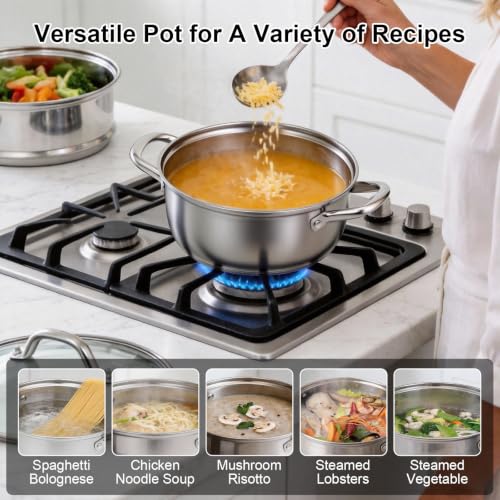 3.2QT Stainless Steel Steamer for Cooking with Food Steamer Basket (3.2QT)