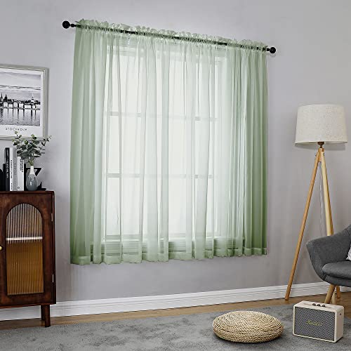 Sage Green Sheer Curtains 54 Inch Long 2 Panels Set (Sage Green / 42"W x 54"L (Pack of 2))