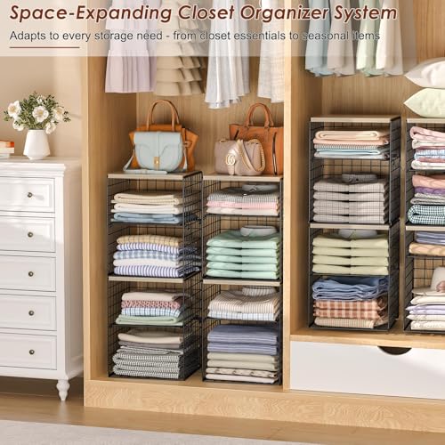 4 Tier Stackable Closet Organizers and Storage (Black-4 Tier)