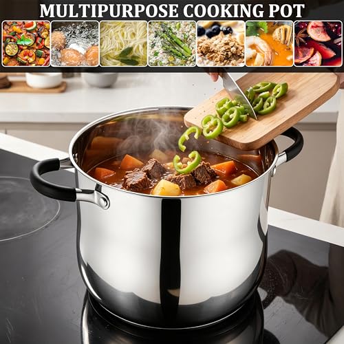 10 Quart Stock Pot (10 Quarts)