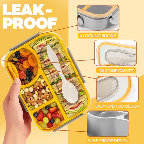 Bento Box for Adults (Gray)