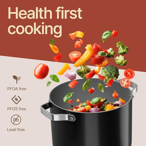 Bakken 8.5 Quart Ceramic Coated Stock Pot with Lid (Black / 8.5 Quarts)