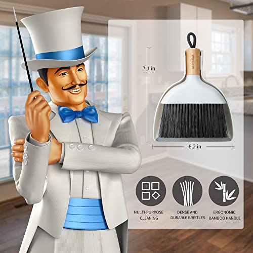 Mini Dustpan and Brush Set (White)