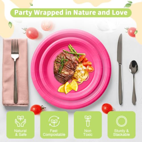 Hot Pink Paper Plates (Hot Pink / 50 Count (25-9" & 25-7"))