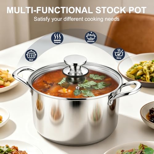 6 Quart Tri Ply Stainless Steel Stock Pot (6 Quarts)