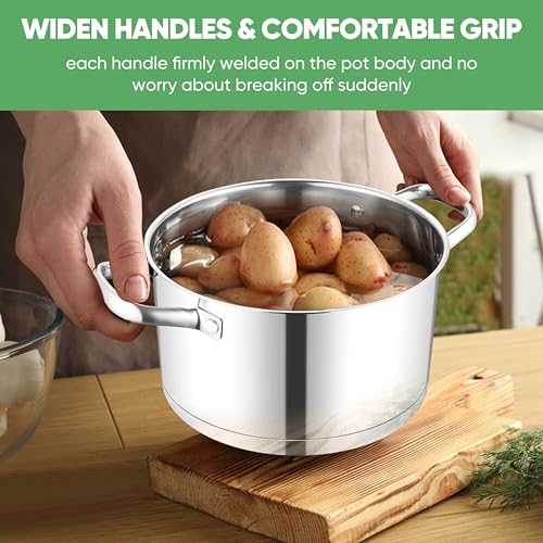 Stainless Steel Stock Pot (4 Quarts)