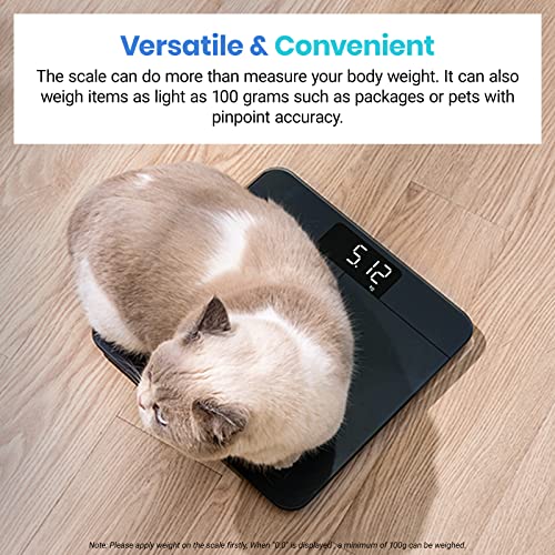 Digital Bathroom Scale for Body Weight (Grey-blue / 11.8 x 11.8 x 1 in)