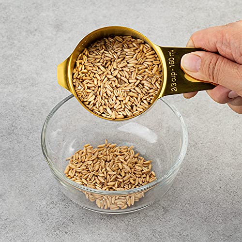 7-Piece 18/8 Stainless Steel Measuring Cups Set, Gold (7 Piece / Gold)