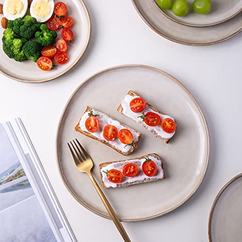 Ceramic Dinner Plates Set of 6 (Cappuccino / 10.5 Inch)