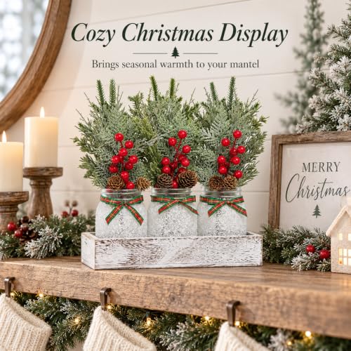 Mason Jar Christmas Centerpieces for Tables (Snowflake)