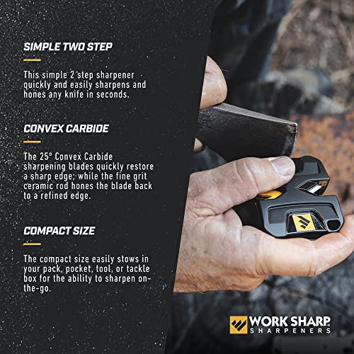 Portable Pivot Knife Sharpener (Pro)