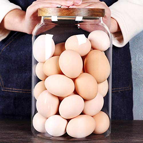 Egg Jar kitchen canister (1Gallon)