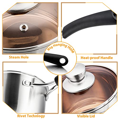 3 Quart Sauce Pan With Lid (3 Quarts)