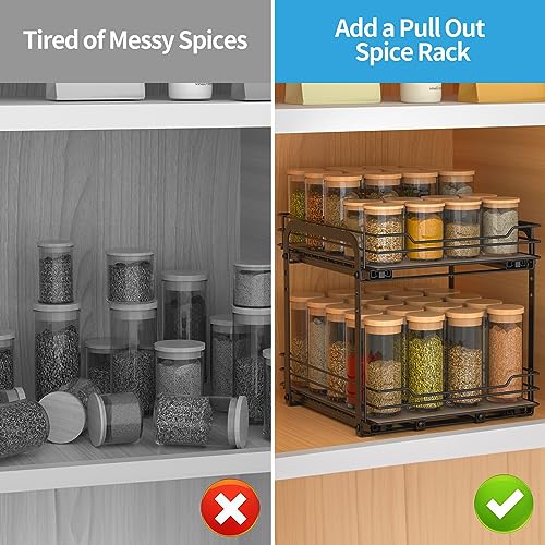 2 Tier Spice Rack (2 Tier,9.5''Wx10.5''Dx9.5''H)